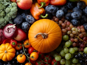 fruits